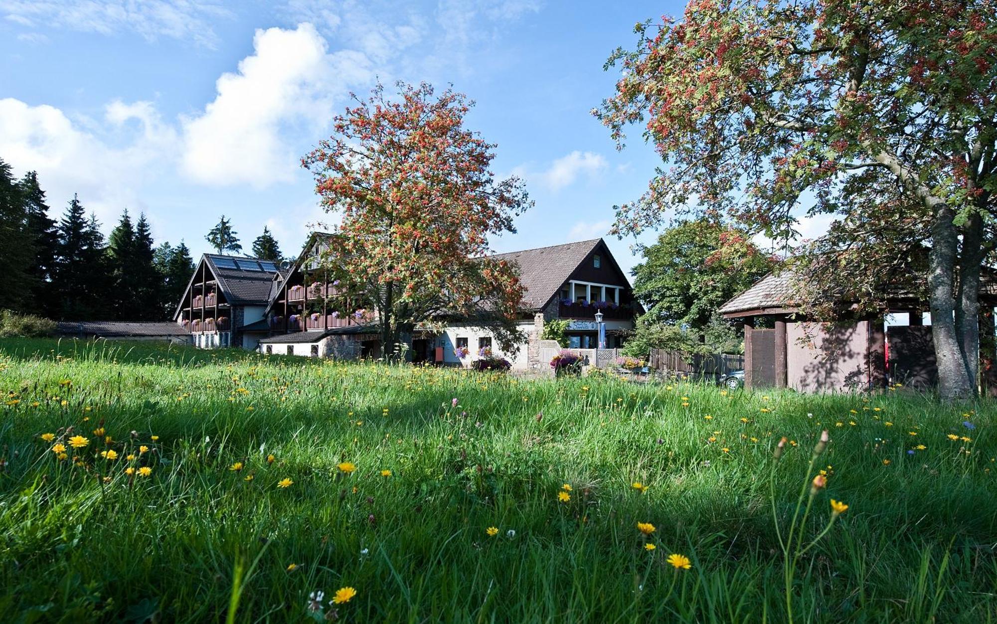 Berggasthof & Hotel Sennhuette Фладунген Екстериор снимка